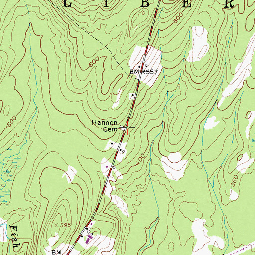 Topographic Map of Hannon Cemetery, ME