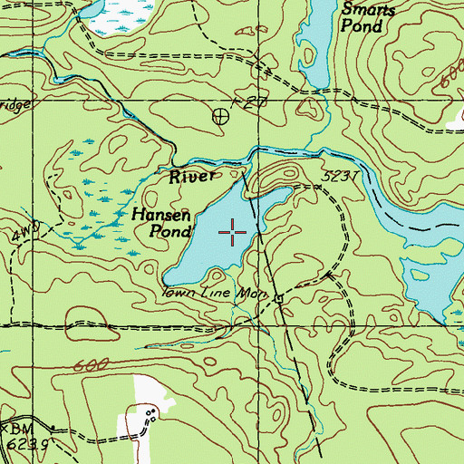 Topographic Map of Hansen Pond, ME