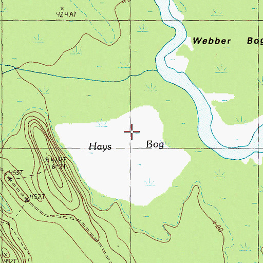 Topographic Map of Hays Bog, ME