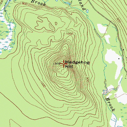 Topographic Map of Hedgehog Hill, ME