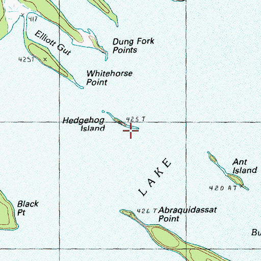 Topographic Map of Hedgehog Island, ME
