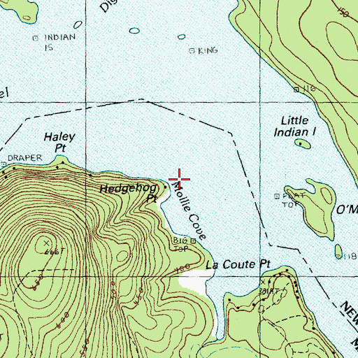 Topographic Map of Hedgehog Point, ME