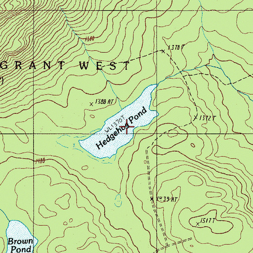 Topographic Map of Hedgehog Pond, ME