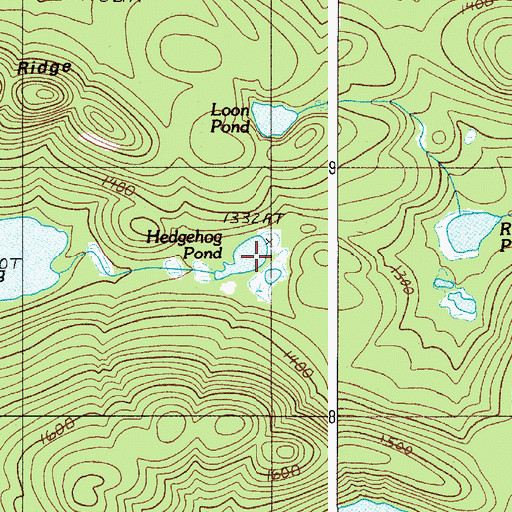 Topographic Map of Hedgehog Pond, ME