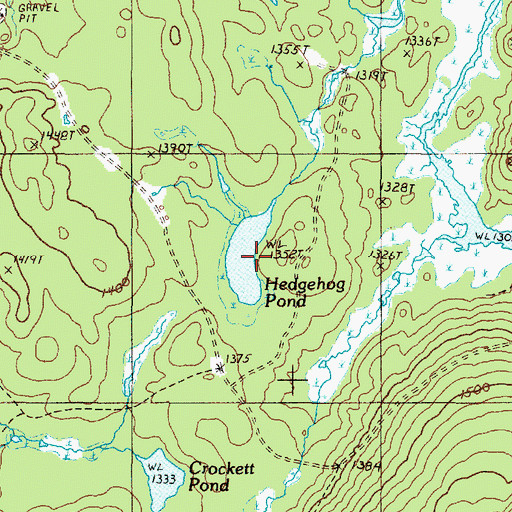 Topographic Map of Hedgehog Pond, ME