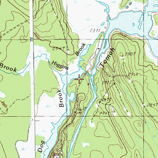 Topographic Map of Higgins Brook, ME