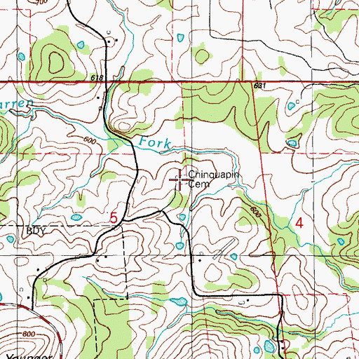 Topographic Map of Chinquapin Cemetery, AR