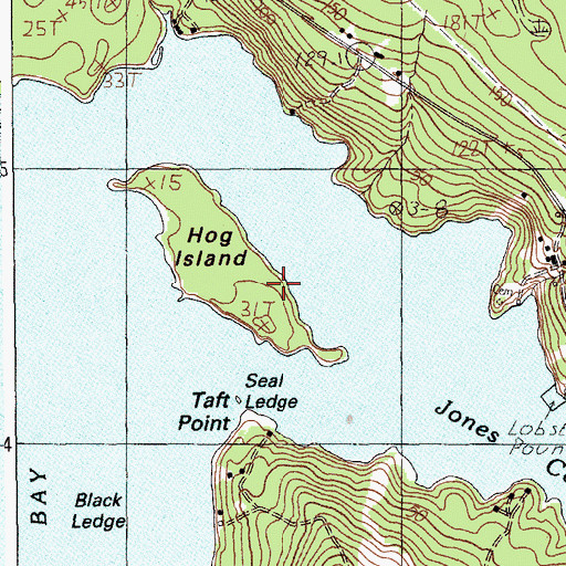 Topographic Map of Hog Island, ME