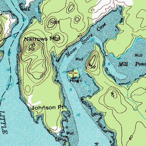 Topographic Map of Hog Island, ME