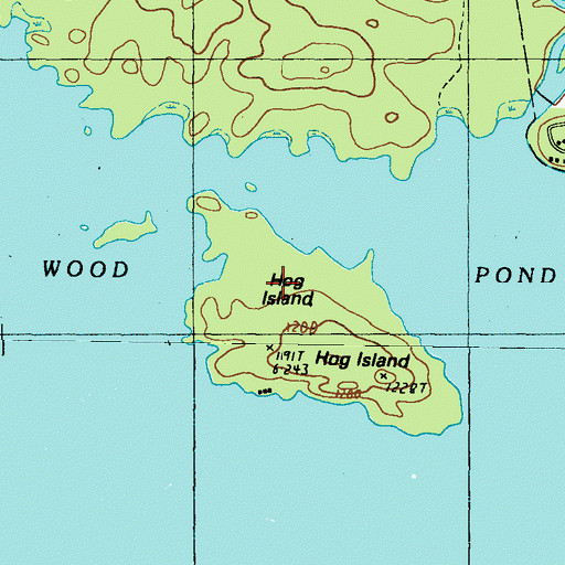 Topographic Map of Hog Island, ME