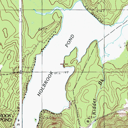 Topographic Map of Holbrook Pond, ME
