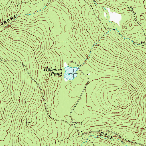 Topographic Map of Holman Pond, ME