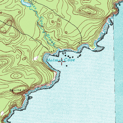 Topographic Map of Holmes Cove, ME