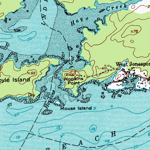 Topographic Map of Hopkins Point, ME