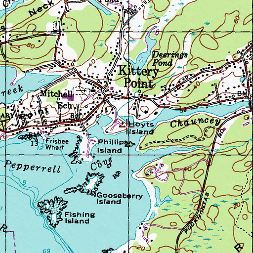 Topographic Map of Hoyts Island, ME