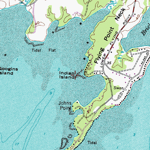 Topographic Map of Indian Island, ME