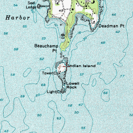Topographic Map of Indian Island, ME