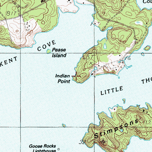 Topographic Map of Indian Point, ME