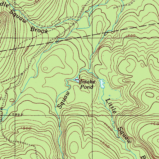 Topographic Map of Intake Pond, ME