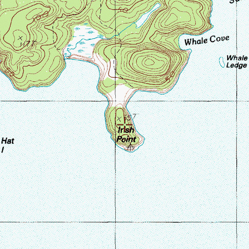 Topographic Map of Irish Point, ME