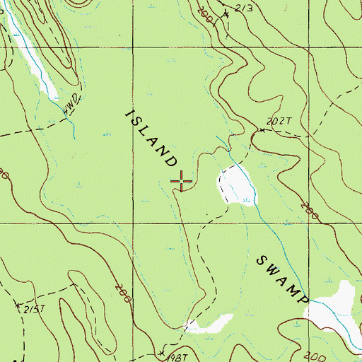 Topographic Map of Island Swamp, ME