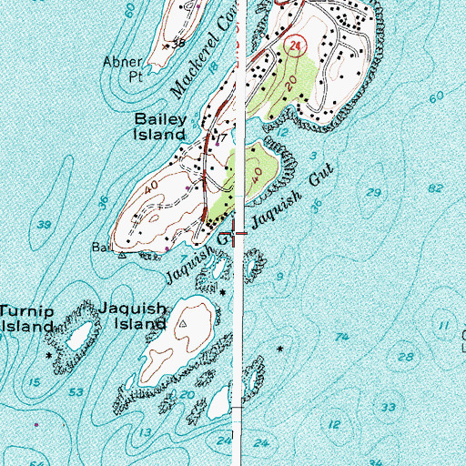 Topographic Map of Jaquish Gut, ME