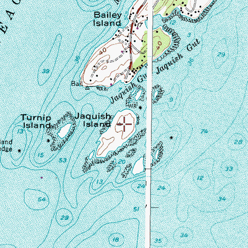 Topographic Map of Jaquish Island, ME