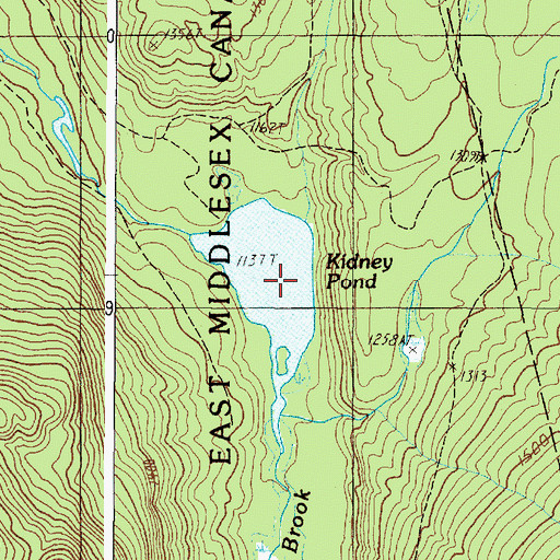 Topographic Map of Kidney Pond, ME