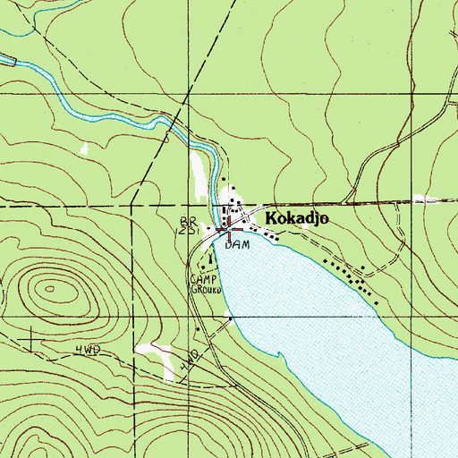 Topographic Map of Kokadjo, ME