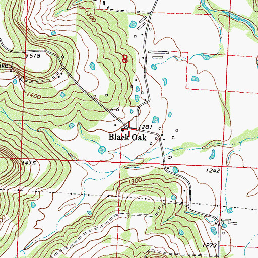Topographic Map of Black Oak, AR