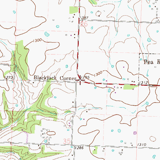 Topographic Map of Blackjack Corner, AR