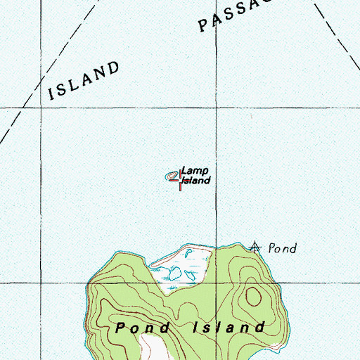 Topographic Map of Lamp Island, ME