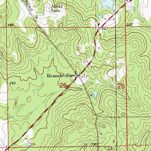 Topographic Map of Branchville, AR