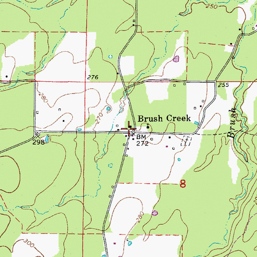 Topographic Map of Brush Creek, AR