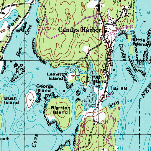 Topographic Map of Leavitt Island, ME