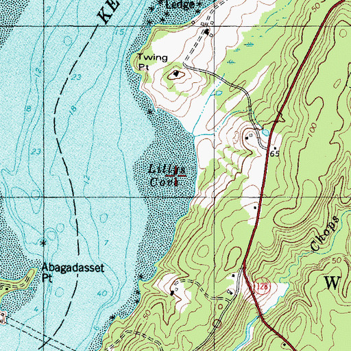 Topographic Map of Lillys Cove, ME