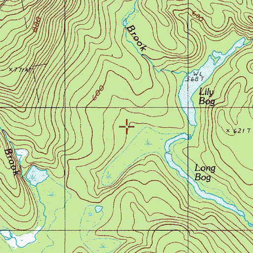 Topographic Map of Lily Bog, ME