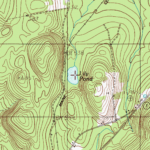 Topographic Map of Lily Pond, ME