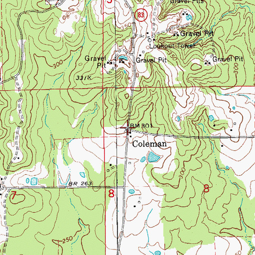 Topographic Map of Coleman, AR