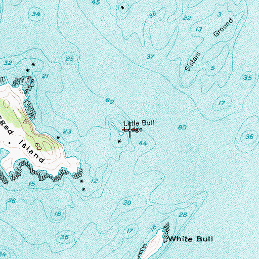 Topographic Map of Little Bull Ledge, ME