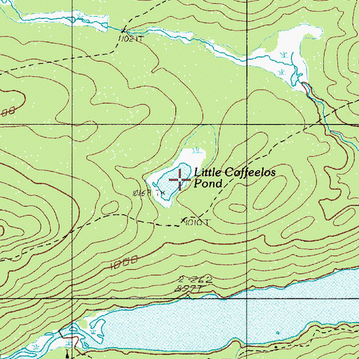 Topographic Map of Little Coffeelos Pond, ME