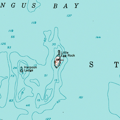 Topographic Map of Little Egg Rock, ME