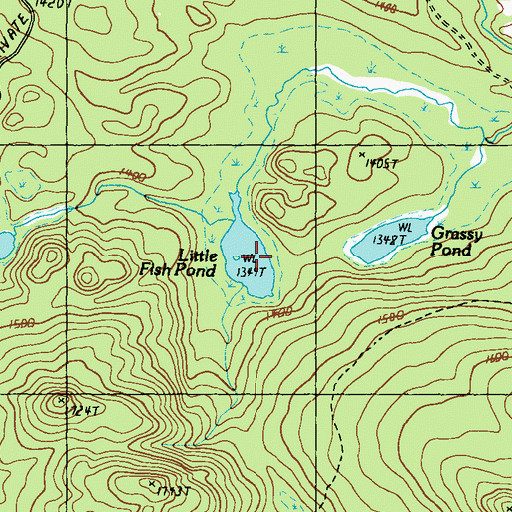 Topographic Map of Little Fish Pond, ME