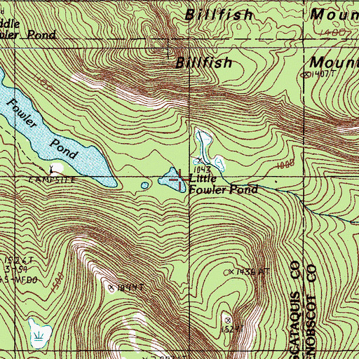 Topographic Map of Little Fowler Pond, ME