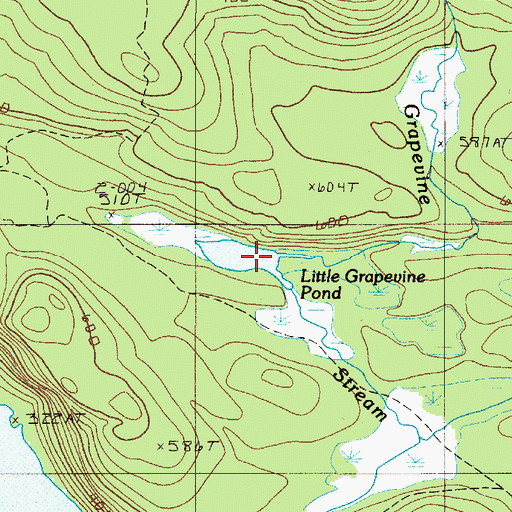 Topographic Map of Little Grapevine Pond, ME