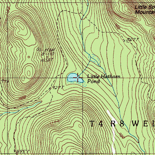 Topographic Map of Little Hathorn Pond, ME