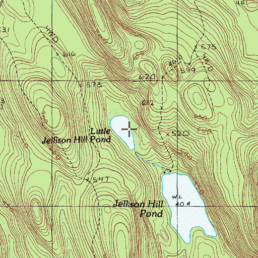 Topographic Map of Little Jellison Hill Pond, ME