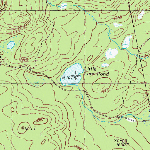 Topographic Map of Little Lane Pond, ME