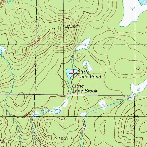 Topographic Map of Little Lane Pond, ME