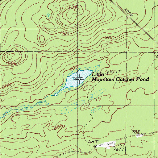 Topographic Map of Little Mountain Catcher Pond, ME